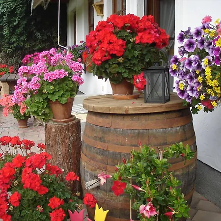 Wiederkehr Рамзау