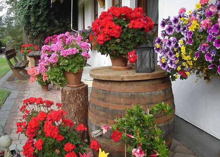 Wiederkehr Рамзау